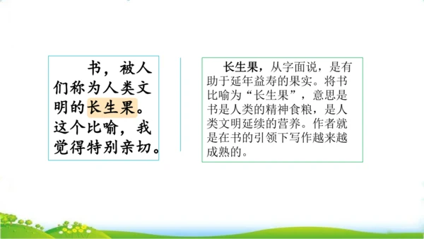 27 我的“长生果“   课件