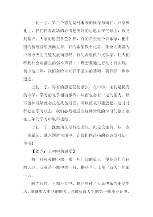上初中的感受作文500字.docx