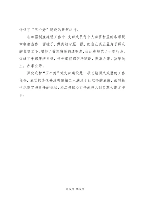 村先进党组织材料 (3).docx