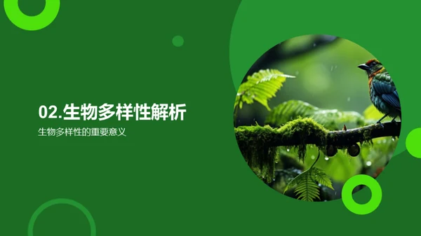 理解与保护生物多样性