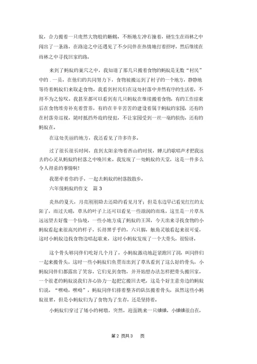六年级蚂蚁的作文3篇 1