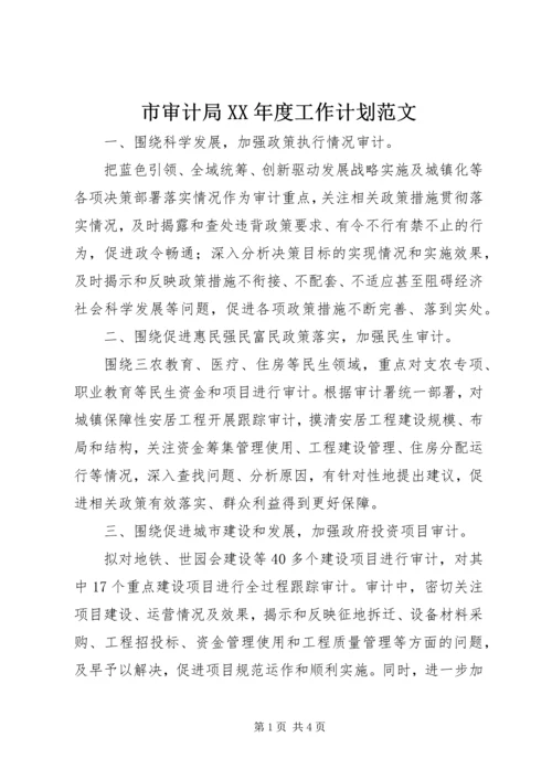 市审计局XX年度工作计划范文.docx