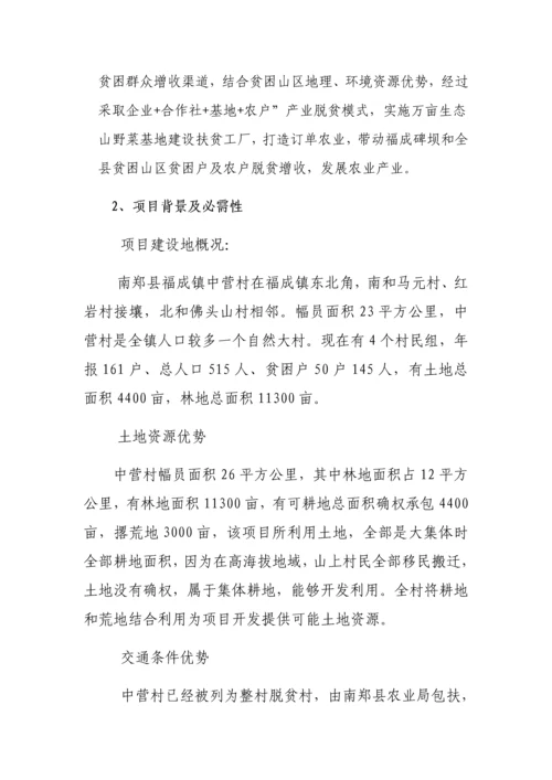 扶贫工厂实施专项方案.docx