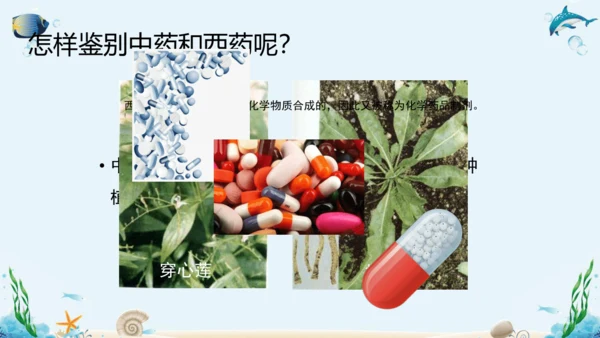 人教版八年级下册生物复习课件