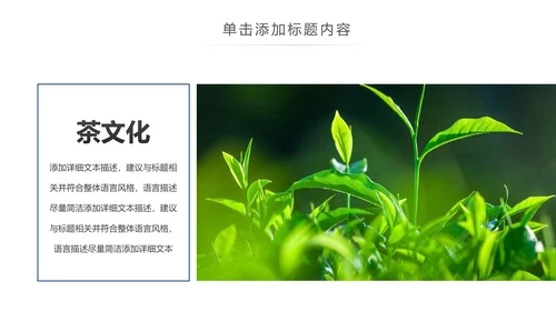 茶具茶叶绿茶白茶红茶黑茶茶文化茶厂PPT
