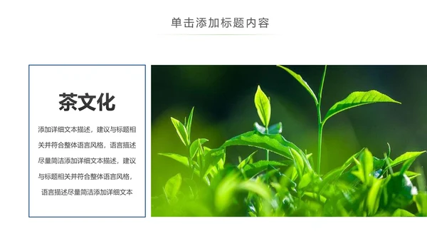 茶具茶叶绿茶白茶红茶黑茶茶文化茶厂PPT