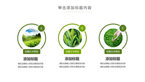清新绿茶茶文化采茶茶道茶艺茶文化PPT模板