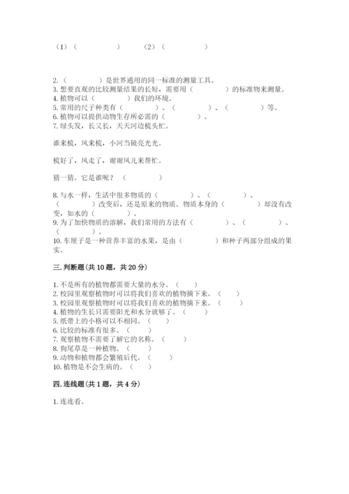 教科版一年级上册科学期末测试卷精品【夺冠系列】.docx