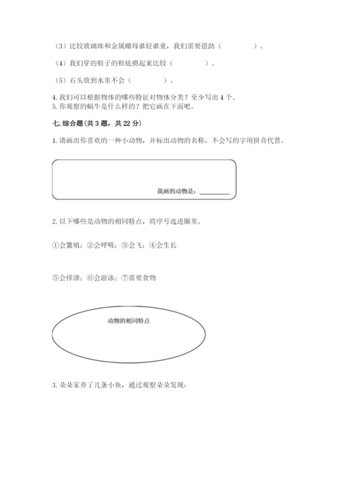 教科版一年级下册科学期末测试卷审定版.docx