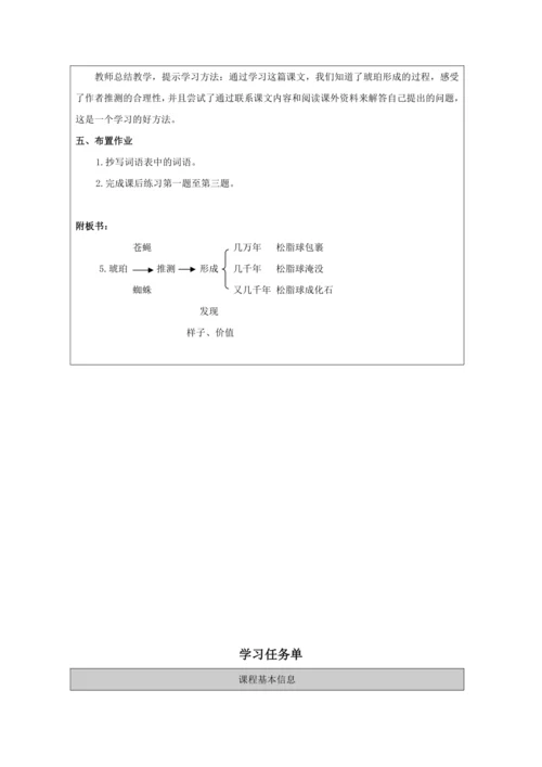 5 琥珀第2课时 教案