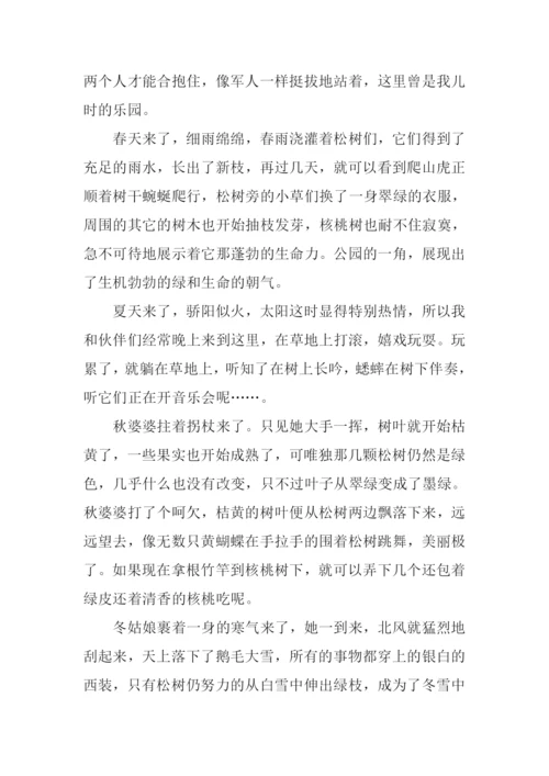 公园一角作文600字.docx