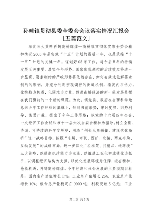 孙疃镇贯彻县委全委会会议落实情况汇报会[五篇范文] (3).docx