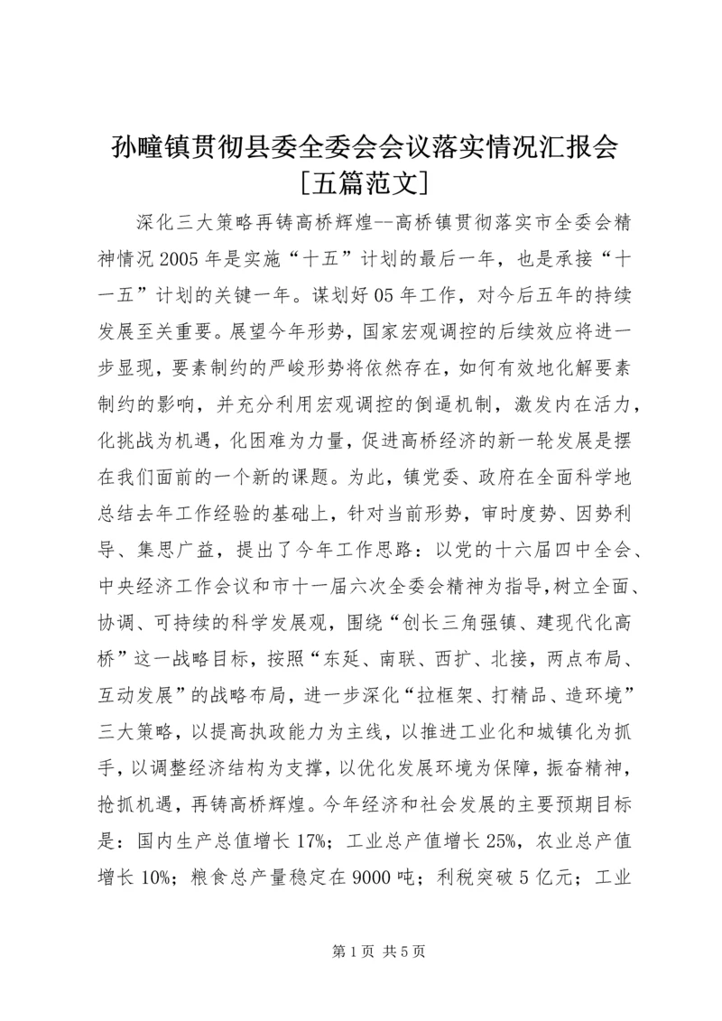 孙疃镇贯彻县委全委会会议落实情况汇报会[五篇范文] (3).docx