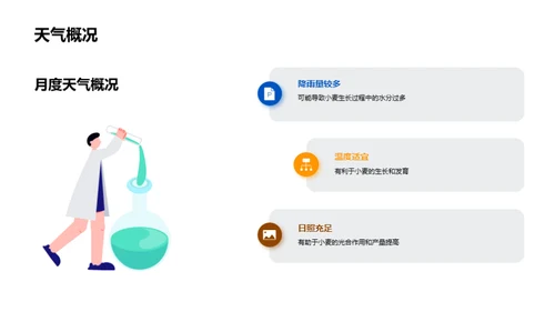 优化小麦种植全攻略