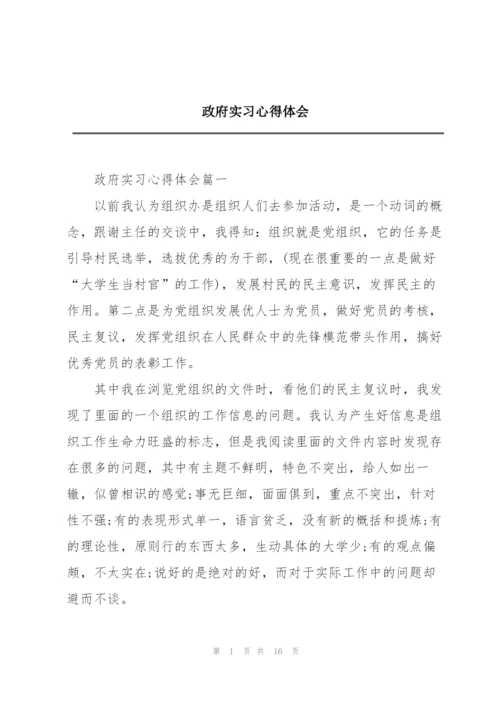 政府实习心得体会.docx