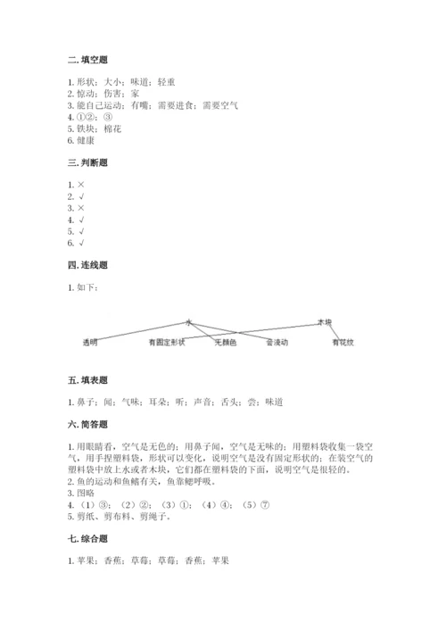 教科版一年级下册科学期末测试卷带答案（巩固）.docx