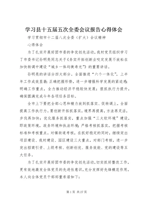 学习县十五届五次全委会议报告心得体会 (5).docx