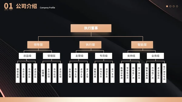 黑色简约商务风公司团队介绍通用PPT模板