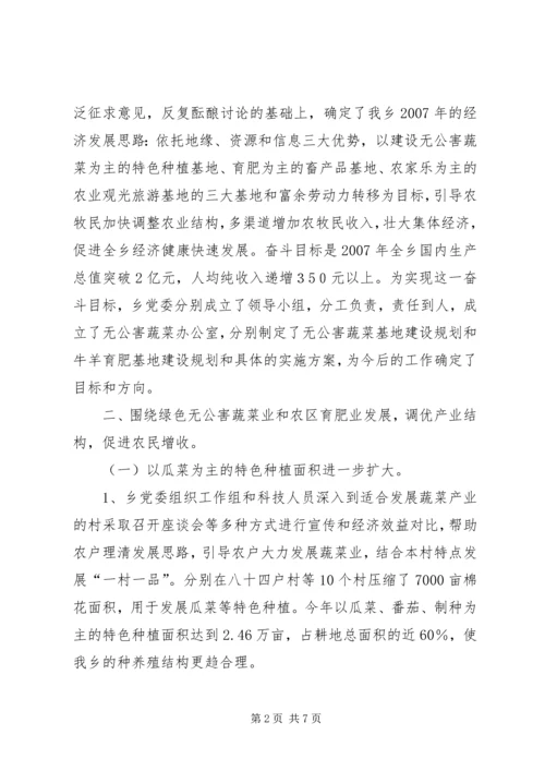 乡镇推进社会主义新农村建设工作典型材料.docx