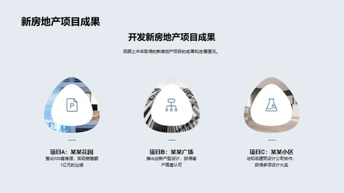 20XX年度房产业绩剖析
