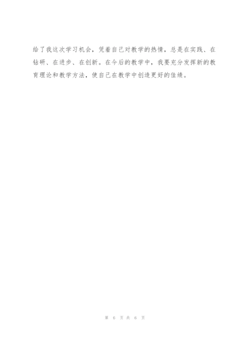 中小学教师继续教育培训总结.docx