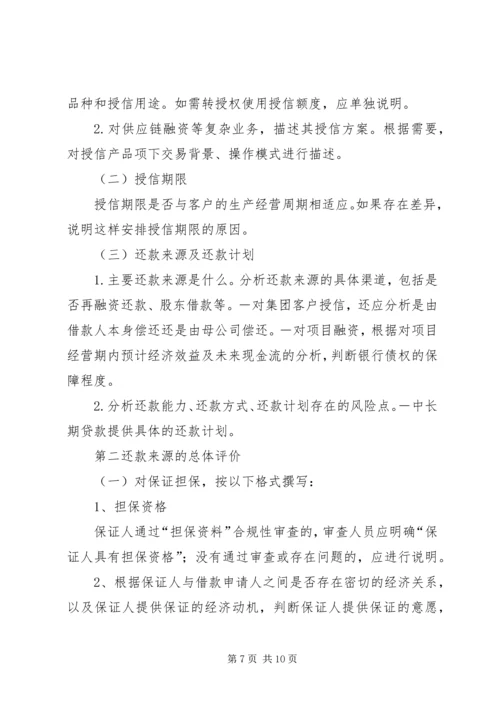 咨询审查报告内容 (3).docx