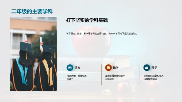 二年级学习全解析