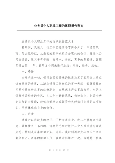 业务员个人职业工作的述职报告范文.docx