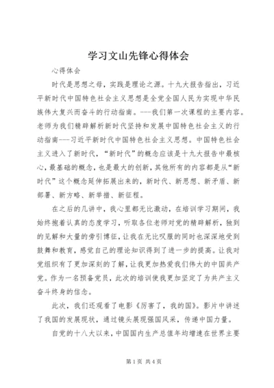 学习文山先锋心得体会 (4).docx