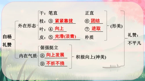 15《白杨礼赞》课件