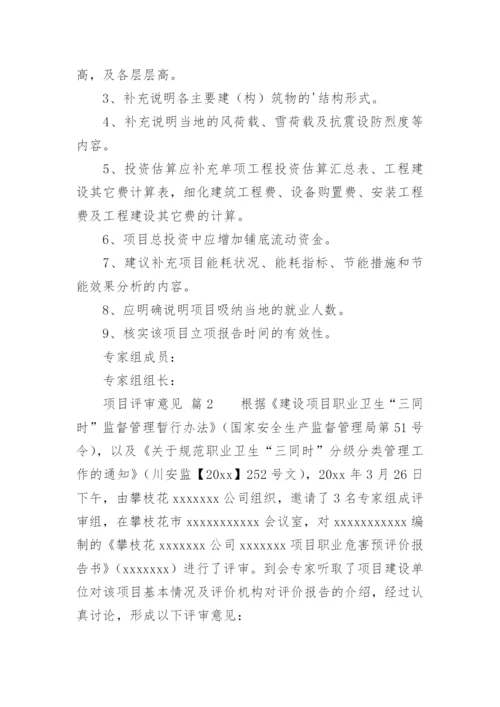 项目评审意见.docx