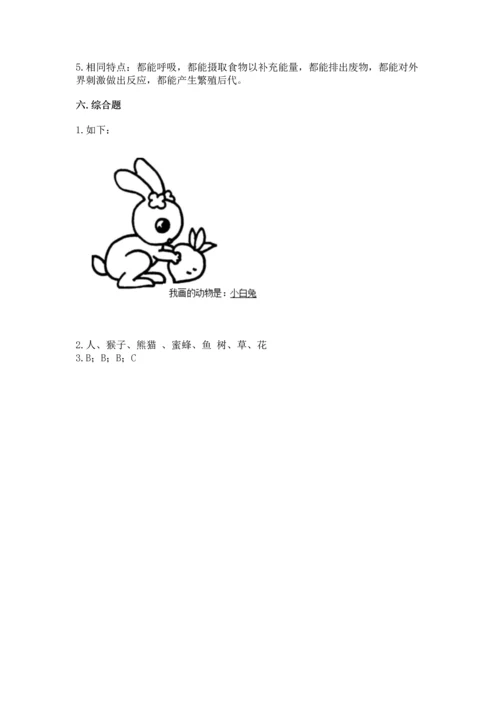 教科版一年级下册科学期末测试卷及参考答案【综合题】.docx