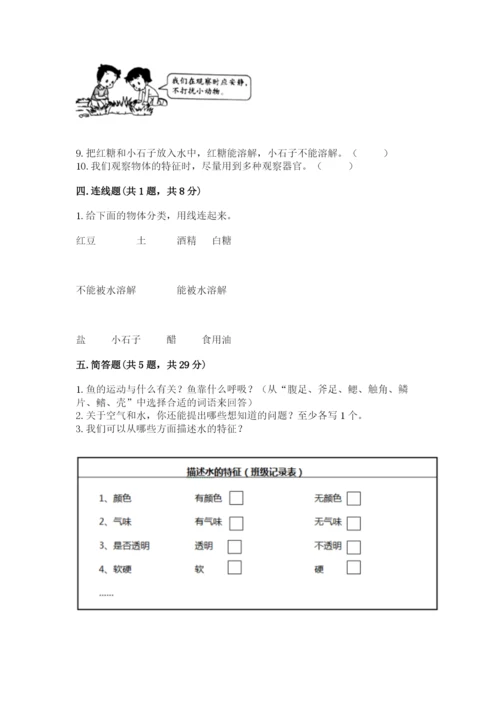 教科版一年级下册科学期末测试卷精品【巩固】.docx