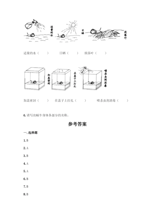 教科版一年级下册科学知识点期末测试卷附参考答案(基础题).docx