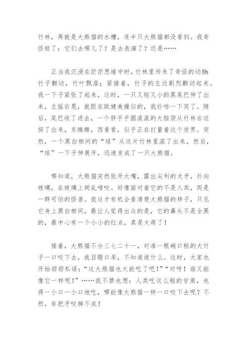 大熊猫的资料三年级下册(精选8篇).docx