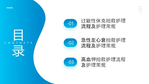 医院危重患者抢救流程与护理PPT模板