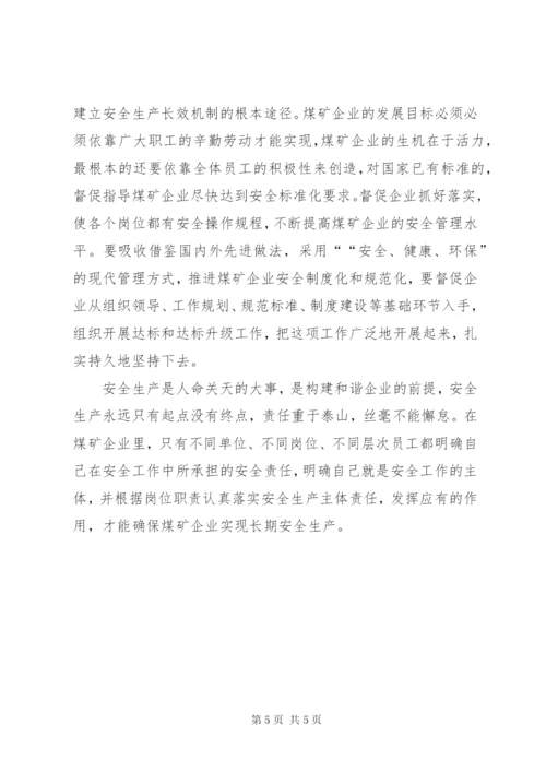 谈谈企业如何落实安全主体责任 (5).docx