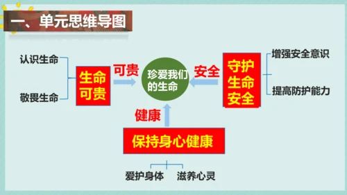 第三单元 珍爱我们的生命 复习课件