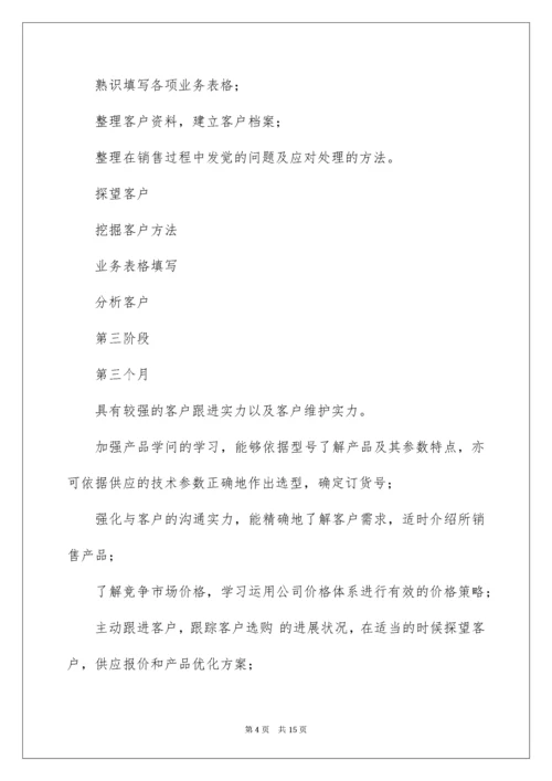 销售试用期工作计划.docx