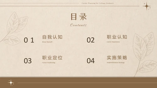 美拉德色大学生职业生涯规划PPT模板