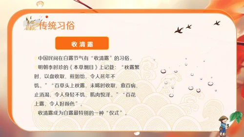 秋色白露节气，秋意浓通用PPT模板