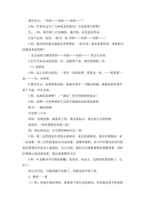 关于荷花教案锦集六篇.docx