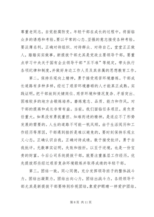 公司系统新提拔干部集体廉政谈话提纲 (4).docx