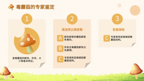 橙色卡通风毒蘑菇识别与误食应急处理PPT