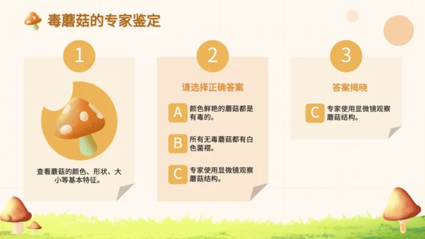 橙色卡通风毒蘑菇识别与误食应急处理PPT