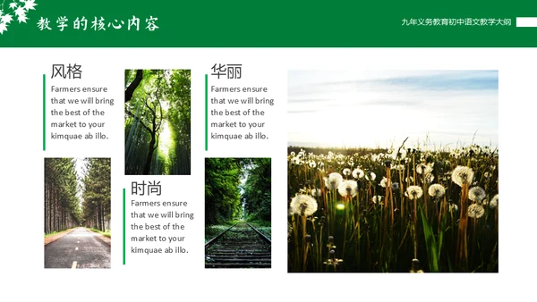 初中语文课程教学大纲通用PPT课件