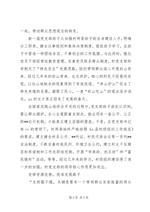 村党支部事迹材料 (6).docx