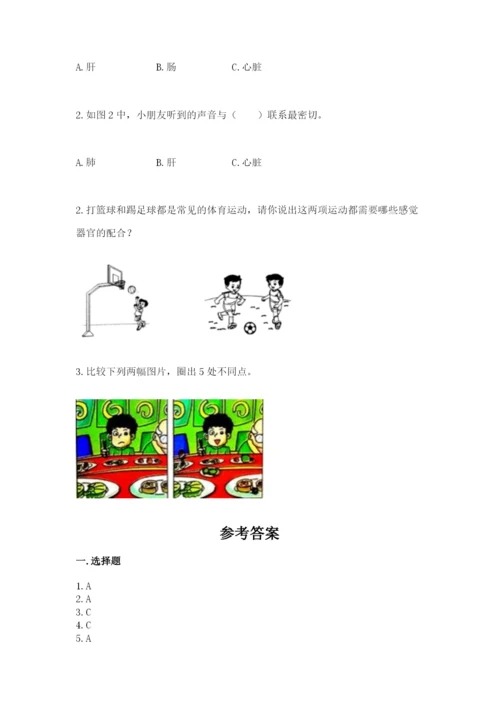 教科版二年级下册科学期末测试卷（突破训练）.docx