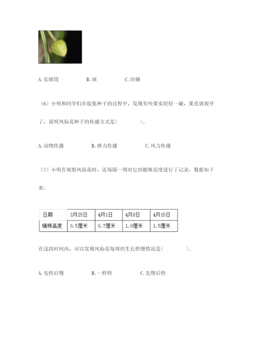 科学四年级下册第一单元植物的生长变化测试卷完美版.docx