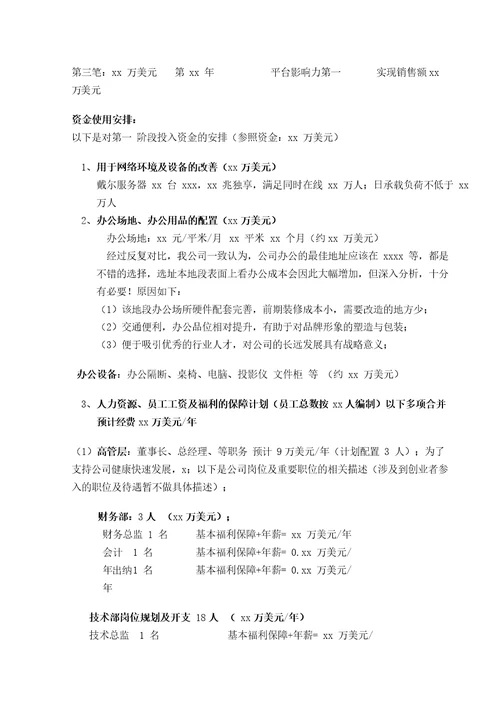 网或互联网项目融资计划书商业计划书